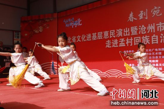 图为孟村“四季村晚”活动中武术表演《八极雄风》表演。 刘雅堃 摄